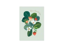 Strawberries 3D Pop Up Greeting Card | Ohh Deer