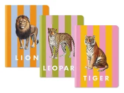 Stripe | 3 Pack of A5 Notebooks