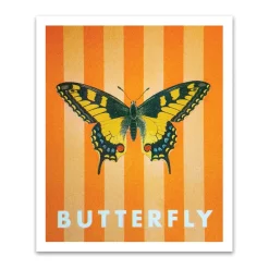 Striped Butterfly Small Art Print (12x10)