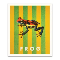 Striped Frog Small Art Print (12x10)