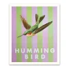 Striped Hummingbird Small Art Print (12x10)