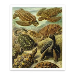 Turtles Under Water Riso Print (12x10)