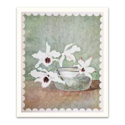 White Orchid In Water Riso Print (12x10)