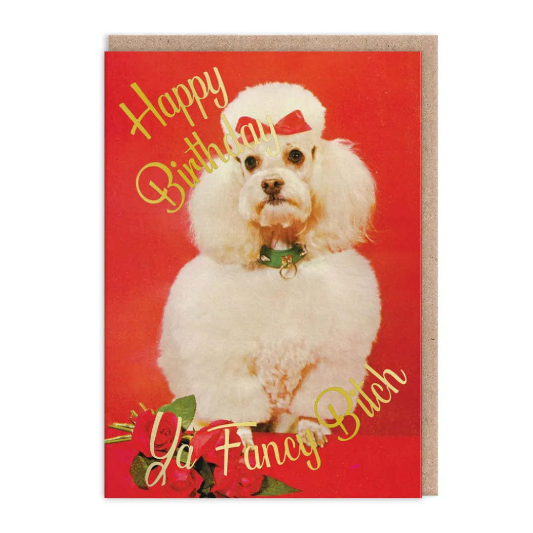 Ya Fancy Bitch Birthday Card - Smitten Kitten | Ohh Deer