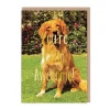 You're Effin Awesome Greeting Card | Ohh Deer
