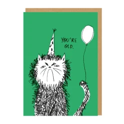 You're Old Cat Birthday Card | Ohh Deer